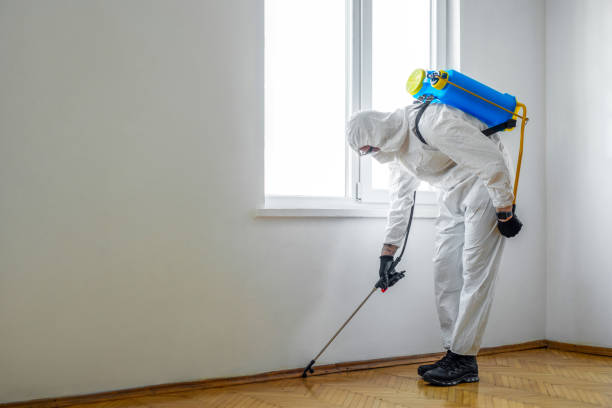 Best Insect Control  in Green Valley, CA