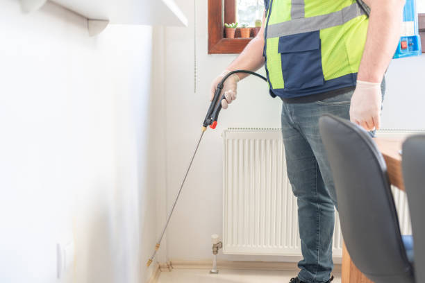 Best Flea Control Services  in Green Valley, CA