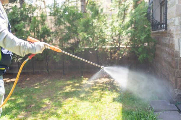 Best Termite Control Services  in Green Valley, CA