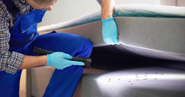 Best Rat Extermination Near Me  in Green Valley, CA