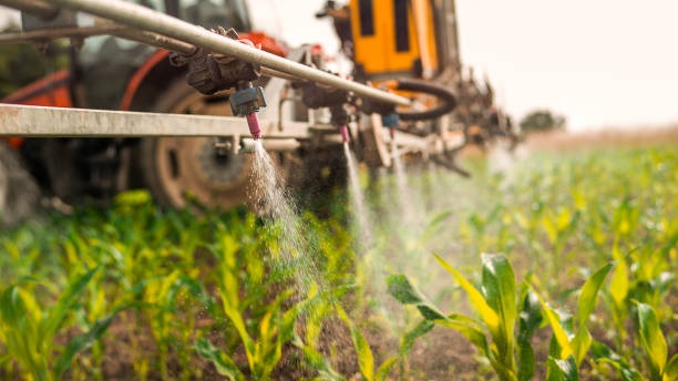 Professional Pest Control in Green Valley, CA